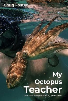 Xem phim Cô Giáo Bạch Tuộc – My Octopus Teacher (2020)