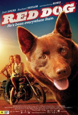 Poster phim Chú Chó Trung Thành – Red Dog (2011)