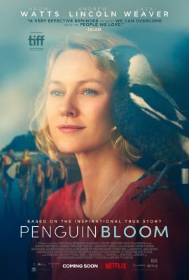 Cánh Cụt Nhà Bloom – Penguin Bloom (2020)'s poster