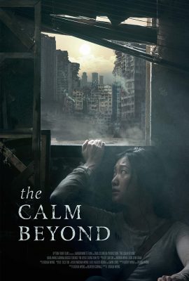 Poster phim Sau Cơn Bão – The Calm Beyond (2020)