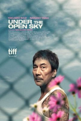 Poster phim Dưới Trời Lồng Lộng – Under the Open Sky (2020)