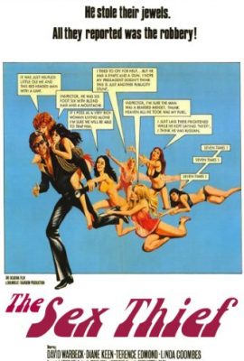 Xem phim Tên Trộm Số Hưởng – Sex Thief (1973)