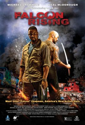 Poster phim Chim Ưng Trỗi Dậy – Falcon Rising (2014)