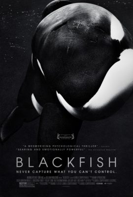 Poster phim Cá đen – Blackfish (2013)