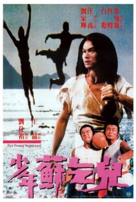 Poster phim Thiếu Niên Tô Khất Nhi – The Young Vagabond (1985)